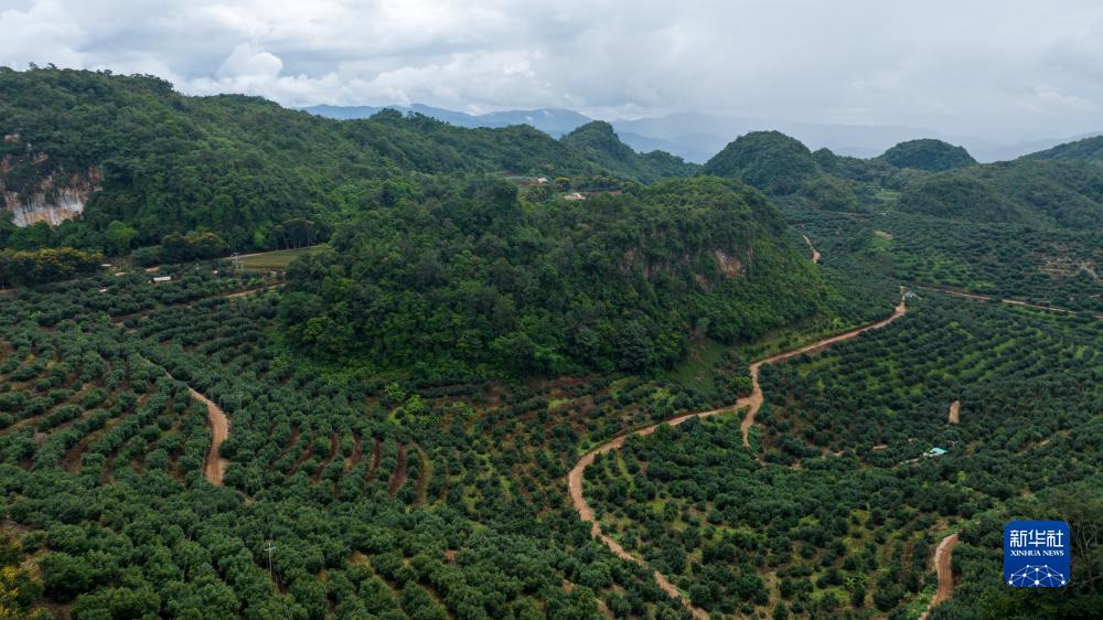 博悦平台注册登录